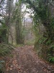 DSCN3274.jpg