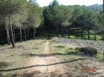 DSC03975_redimensionar_redimensionar.JPG