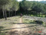 DSC03976_redimensionar_redimensionar.JPG