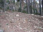 IMG_1137_redimensionar.jpg