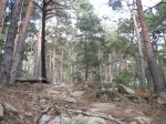 IMG_1139_redimensionar.jpg