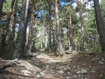 IMG_1140_redimensionar.jpg