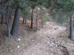 IMG_1145_redimensionar.jpg