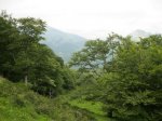 BOSQUE DE PELO&#209;O (70).JPG