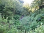 BOSQUE DE PELO&#209;O (6).JPG