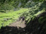 BOSQUE DE PELO&#209;O (9).JPG