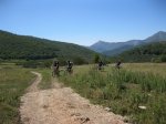 BOSQUE DE PELO&#209;O (47).JPG