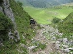 BOSQUE DE PELO&#209;O (11).JPG
