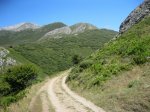 BOSQUE DE PELO&#209;O (36).JPG