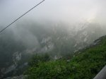 BOSQUE DE PELO&#209;O (94).JPG