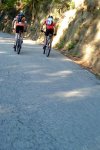 DSC03536.JPG
