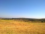 31072011450_rsz.jpg