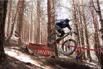 SALTO PINI.jpg