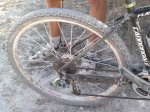 31072011827.jpg