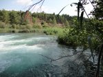 DSC00916.JPG