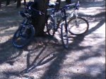 DSC00919.jpg
