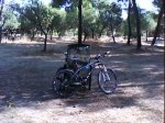 DSC00918.jpg