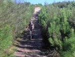 2011-07-31_10-05-58_914.jpg