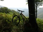 2011-07-31 12.07.24.jpg