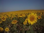 2011-08-01 09.42.14_1024x768.jpg