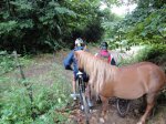 DSC00227.JPG