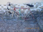 bici 80.jpg