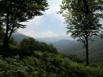 2011-07-31 12.08.07.jpg