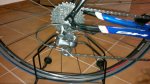 IMG-20110801-WA0007.jpg
