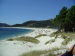 vacas 010.JPG