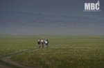maskara_imatges_encarrera.3.jpg