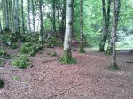 2011-08-02 19.13.19.jpg