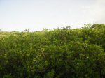 P1015327.JPG
