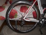 IMGP2798.JPG