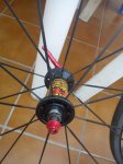 DSC01387.jpg