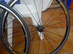 DSC01389.jpg
