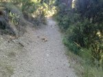 25072011359.jpg