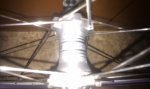 IMAG0255.jpg