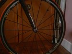 04082011298.jpg