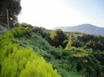 DSC00249.JPG