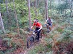DSC04784.JPG