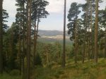 05082011416.jpg