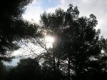 P1015337.JPG