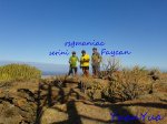 las palmas5.jpg