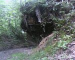 IMG0587A (Large).jpg