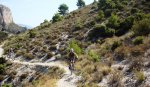 DSC07252r.jpg