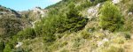 DSC07243r.jpg