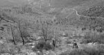 DSC07260r.jpg