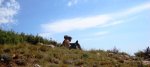 DSC07272r.jpg