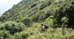DSC07276r.jpg