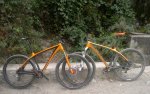 NINER 325.jpg